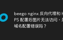 beego nginx 反向代理和 HTTPS 配置后图片无法访问，是域名配置错误吗？
