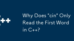 Pourquoi \'cin\' ne lit-il que le premier mot en C ?