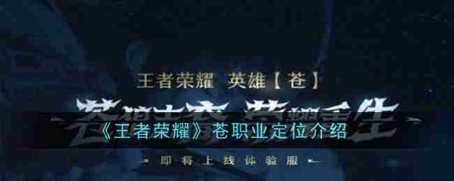 《王者荣耀》苍职业定位介绍