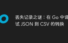 丢失记录之谜：在 Go 中调试 JSON 到 CSV 的转换