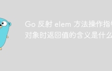 Go 反射 elem 方法操作指针对象时返回值的含义是什么？