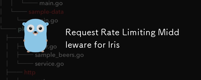 Request Rate Limiting Middleware for Iris