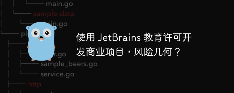 使用 JetBrains 教育许可开发商业项目，风险几何？-小浪资源网