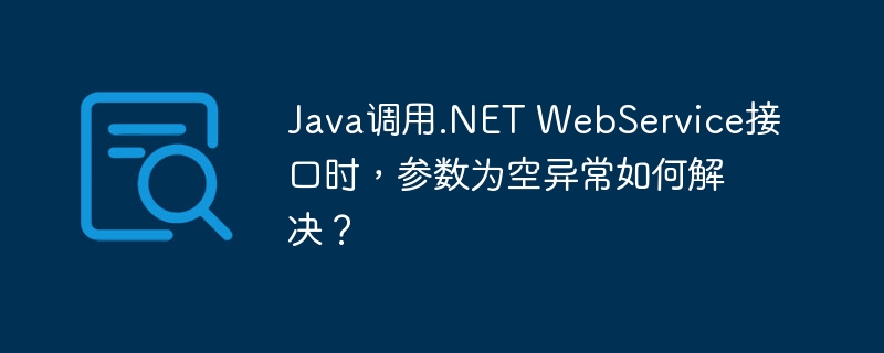 Java调用.NET WebService接口时，参数为空异常如何解决？-小浪资源网