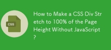 如何在沒有 JavaScript 的情況下使 CSS Div 拉伸到頁面高度的 100%？