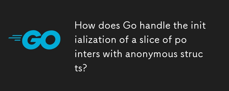 Comment Go gère-t-il l'initialisation d'une tranche de pointeurs avec des structures anonymes ?