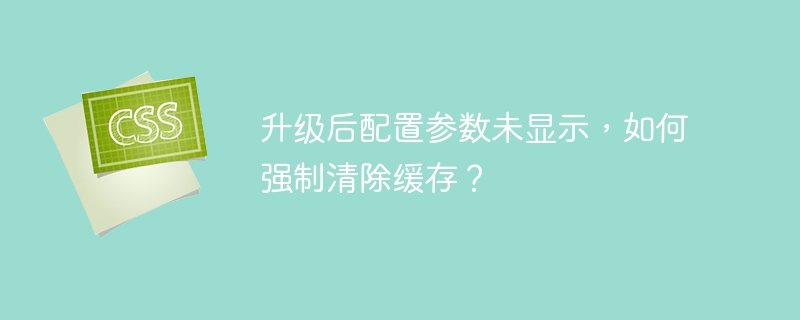 升级后配置参数未显示，如何强制清除缓存？-小浪资源网