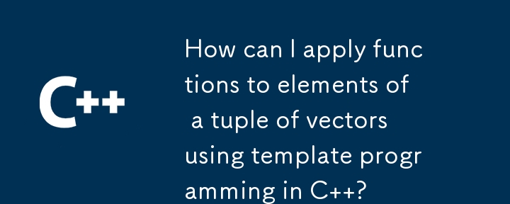 C에서 템플릿 프로그래밍을 사용하여 벡터 튜플의 요소에 함수를 적용하려면 어떻게 해야 합니까?