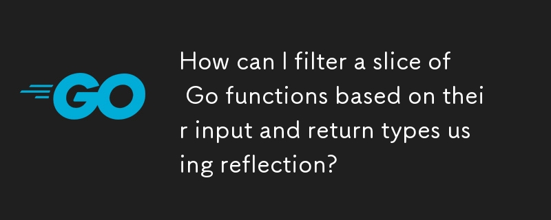 Comment puis-je filtrer une tranche de fonctions Go en fonction de leurs types d'entrée et de retour à l'aide de la réflexion ?