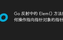 Go 反射中的 Elem() 方法如何操作指向指针对象的指针？