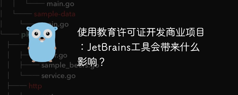 使用教育许可证开发商业项目：JetBrains工具会带来什么影响？-小浪资源网