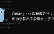 Golang ent 数据库迁移：如何为字符串字段指定长度？