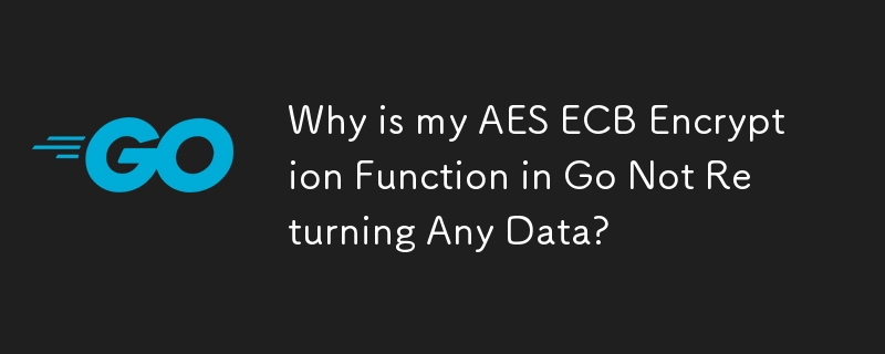 Why is my AES ECB Encryption Function in Go Not Returning Any Data?