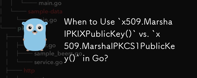 Go에서 `x509.MarshalPKIXPublicKey()`와 `x509.MarshalPKCS1PublicKey()`를 언제 사용해야 합니까?