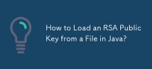 How to Load an RSA Public Key from a File in Java?
