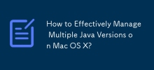How to Effectively Manage Multiple Java Versions on Mac OS X?