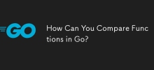 How Can You Compare Functions in Go?