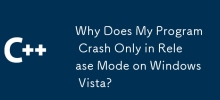 Why Does My Program Crash Only in Release Mode on Windows Vista?
