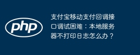 支付宝移动支付回调接口调试困难：本地服务器不打印日志怎么办？