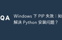 Windows 下 PIP 失效：如何解决 Python 安装问题？