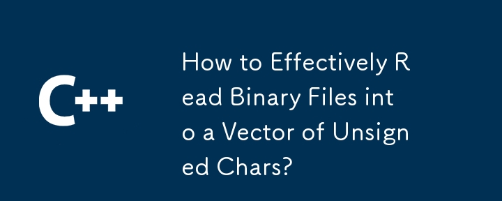 Comment lire efficacement des fichiers binaires dans un vecteur de caractères non signés ?