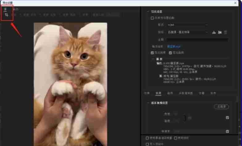 pr怎么裁剪画面尺寸?-pr裁剪画面尺寸的方法