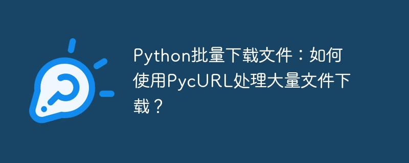 Python批量下载文件：如何使用PycURL处理大量文件下载？-小浪资源网