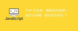 PHP 开发者，离职后的选择：迷茫与突破，我该何去何从？
