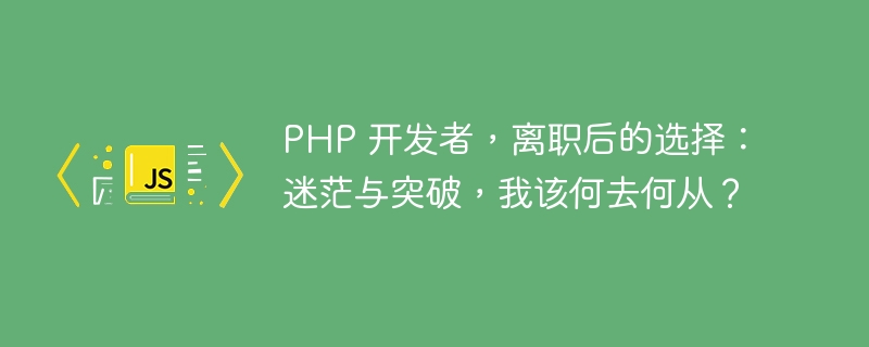 PHP 开发者，离职后的选择：迷茫与突破，我该何去何从？-小浪资源网