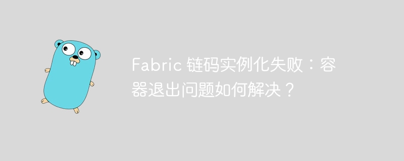 Fabric 链码实例化失败：容器退出问题如何解决？-小浪资源网