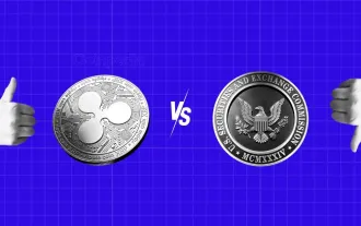 随着第二巡回上诉法院将截止日期定为 2025 年 1 月 15 日,Ripple 诉 SEC 案件愈演愈烈
