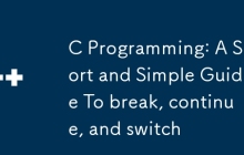 C Programming: A Short and Simple Guide To break, continue, and switch