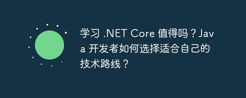 学习 .NET Core 值得吗？Java 开发者如何选择适合自己的技术路线？-小浪资源网