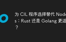 为 CIL 程序选择替代 Node.js：Rust 还是 Golang 更适合？
