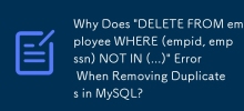为什么在 MySQL 中删除重复项时出现'DELETE FROMEmployee WHERE (empid, empssn) NOT IN (...)\”错误？