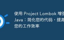 使用 Project Lombok 增强 Java：简化您的代码，提高您的工作效率