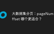 大数据集分页：pageNum 和 offset 哪个更适合？