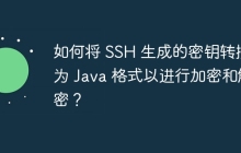 如何将 SSH 生成的密钥转换为 Java 格式以进行加密和解密？