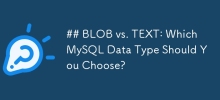 BLOB 与 TEXT：您应该选择哪种 MySQL 数据类型？