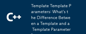Template Template Parameters: What\'s the Difference Between a Template and a Template Parameter?