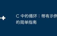 C 中的循环：带有示例的简单指南