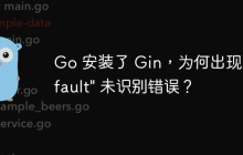 Go 安装了 Gin，为何出现 \"Default\" 未识别错误？