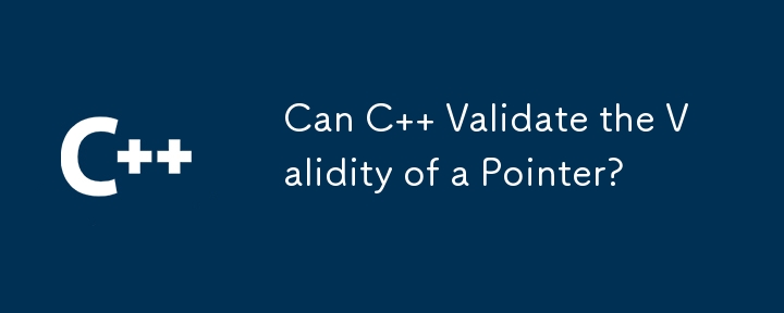 C はポインタの有効性を検証できますか?