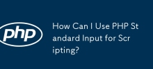 Comment puis-je utiliser l'entrée standard PHP pour les scripts ?