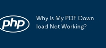 Pourquoi mon téléchargement PDF ne fonctionne-t-il pas ?