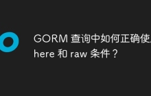 GORM 查询中如何正确使用 where 和 raw 条件？