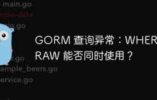 GORM 查询异常：WHERE 与 RAW 能否同时使用？