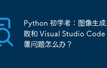 Python 初学者：图像生成失败和 Visual Studio Code 配置问题怎么办？