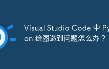 Visual Studio Code 中 Python 绘图遇到问题怎么办？