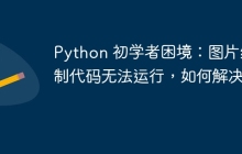 Python 初学者困境：图片绘制代码无法运行，如何解决？
